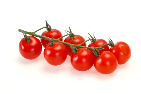 Reife Schmackhafte Tomaten Auf Dem Zweig — Stockfoto