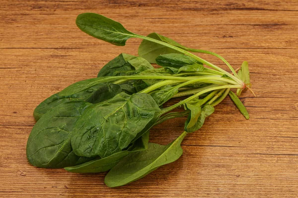 Vegan Cuisine Fresh Green Spinach Leaves Heap — Stock Photo, Image