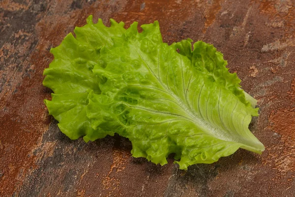 素食烹调绿叶沙拉 — 图库照片