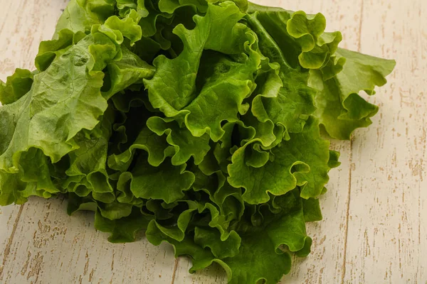 Cozinha Vegan Folhas Heap Salada Alface Verde — Fotografia de Stock