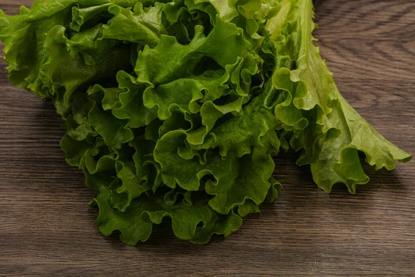 Vegan Cuisine Green Lettuce Salad Heap Leaves — Stock Photo, Image