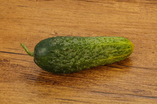 Verde Maduro Fresco Pepino Sobre Fundo — Fotografia de Stock