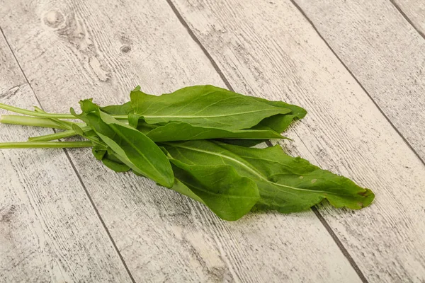 Aroma Fresh Green Sorrel Herb Heap — Stock Photo, Image