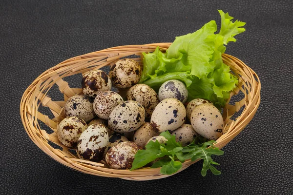 Ovos Codorna Cesta Com Ervas — Fotografia de Stock