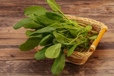 Vejetaryen mutfağı - Taze yeşil ıspanak yaprakları yığını