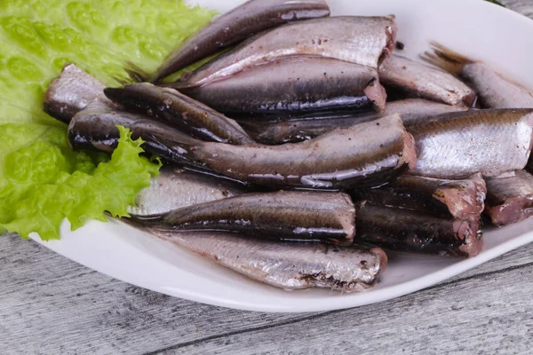 Anchovy Fish Snack Skålen Serveras Salladsblad Och Rosmarin — Stockfoto