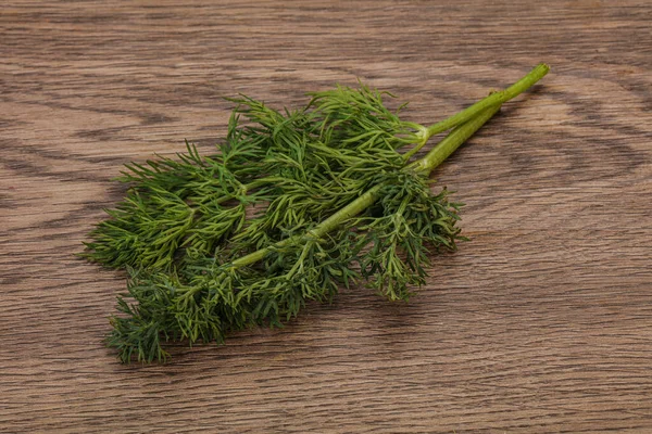 Aroma Seasoning Green Dill Branch Background — Stock Photo, Image