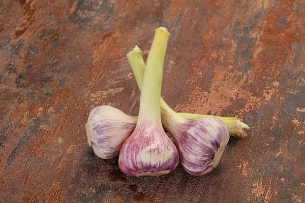 Ung Mogen Vitlökshög — Stockfoto