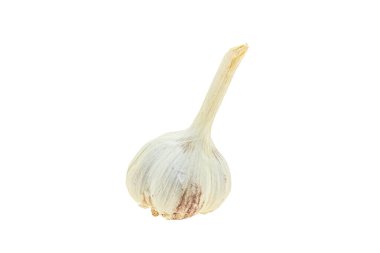 Beyaz arka planda taze sarımsak kokusu izole edilmiş.