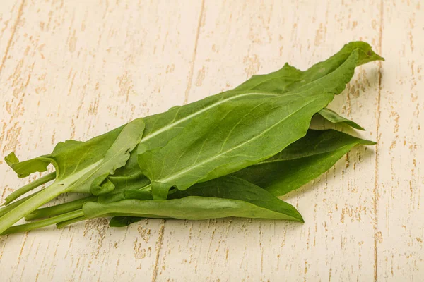 Aroma Färska Gröna Sorrel Ört Hög — Stockfoto