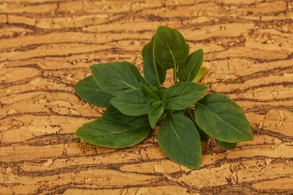 芳香调味品 枝条上的绿色罗勒叶 — 图库照片
