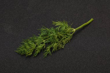 Aroma çeşnisi - Arkaplanda Yeşil Dill dalı