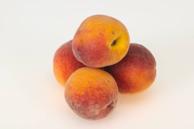 Beyaz arka plan üzerinde izole güzelliğin