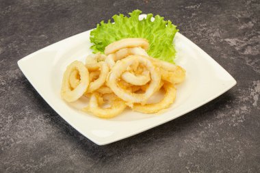 Kavrulmuş kalamar halkaları ve kasede salata.