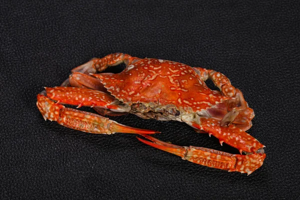 Delikat Gekochte Krabben Fertig Zum Essen — Stockfoto