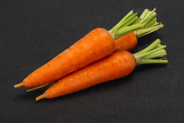 Three Young Fresh Ripe Carrots — Stock Photo, Image