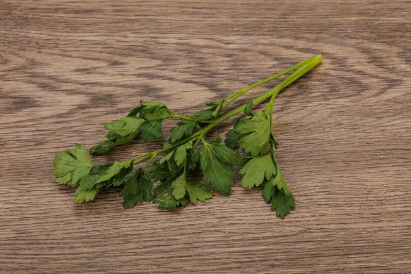 芳香绿色新鲜欧芹枝叶草本植物 — 图库照片