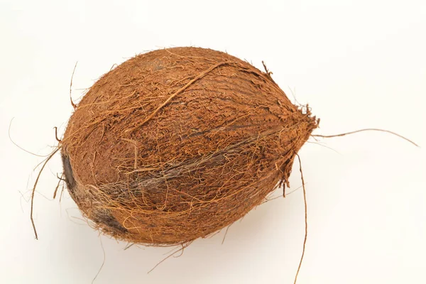 Ripe Coconut Isolated White Background — Stock Photo, Image