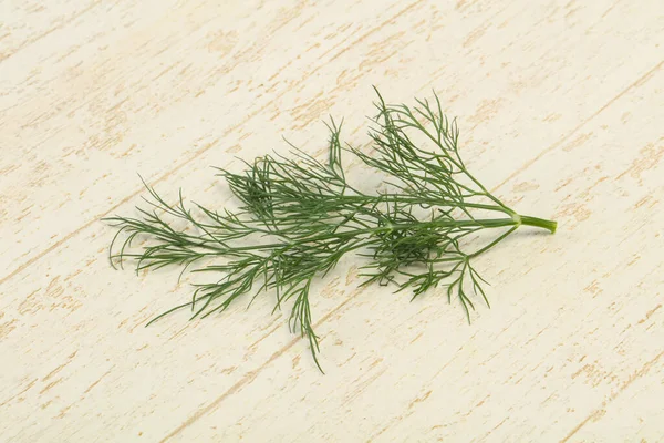 Verse Groene Dille Kruid Tak Klaar Koken — Stockfoto