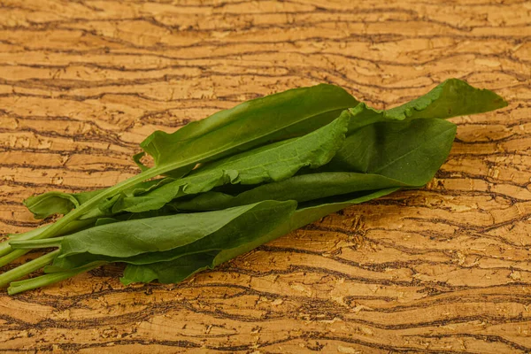 Aroma Taze yeşil kuş sürüsü