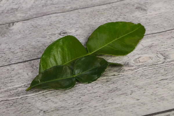 Feuilles Tilleul Kafir Ajout Pour Soupe Cuisine Asiatique — Photo