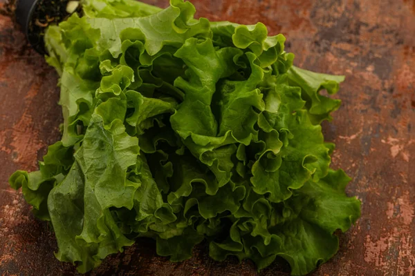 ビーガン料理 グリーンレタスサラダヒープの葉 — ストック写真
