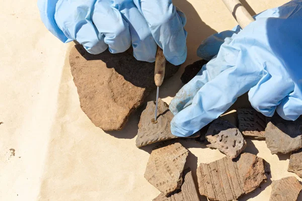 The hands of the archaeologist protective gloves to clean the scraper clay from a piece of an ancient vessel. Visible fragments with different patterns applied to the clay