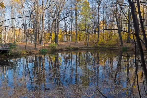 Pond in the autumn forest park. Nature reserve on the Sparrow Hills, Moscow, Russia. Sunny day in October.