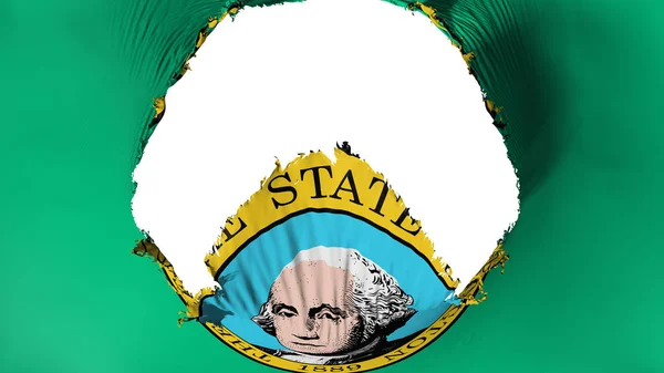 Big hole in Washington state flag
