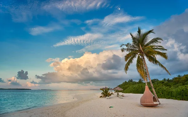 Fond Exotique Plage Tropicale Comme Paysage Été Avec Balançoire Plage — Photo