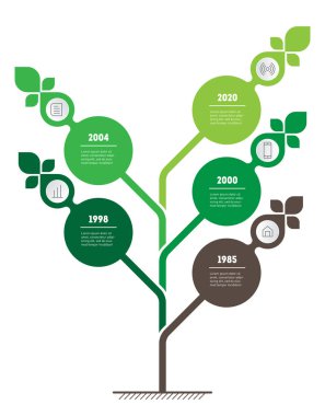 Dikey yeşil infografikler veya zaman çizelgesi. Eko işletmenin sürdürülebilir gelişimi ve büyümesi. Trendlerin zaman çizgisi. Seçenekler, adımlar veya süreçler ile iş kavramı