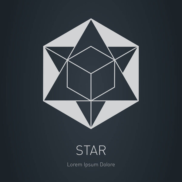 Star with cube inside. Design element. Modern stylish logo. Vector low poly logotype template.