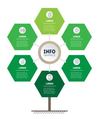 Renkli infografik ağaç şablonu, vektör çizimi