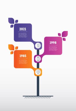 Bilgi zaman çizelgesi çok şık. Beyaz arkaplanda vektör tasarımı.