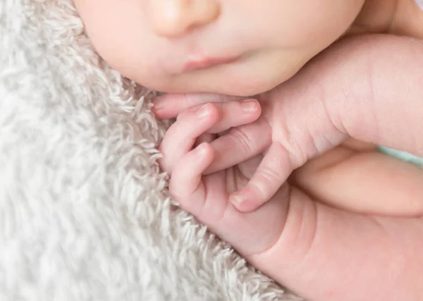 Gros plan sur les petites mains du nouveau-né — Photo