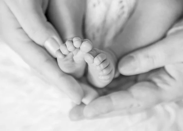 Small newborn babys feet covered with blanket, black and white — Stock Photo, Image