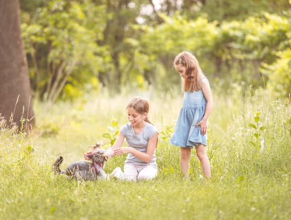 Deux sœurs jouant avec le petit Yorkshire terier journée ensoleillée — Photo