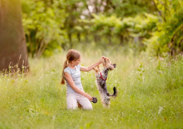 Liten flicka som leker med förfärlig hund — Stockfoto