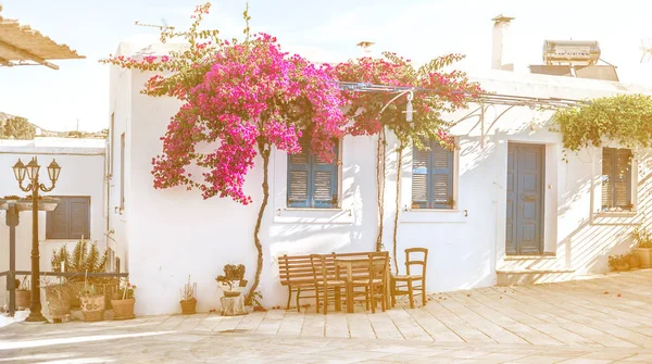 Calle estrecha con casas blancas, Grecia —  Fotos de Stock