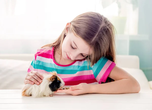 Ragazza accarezzando soffice cavia — Foto Stock