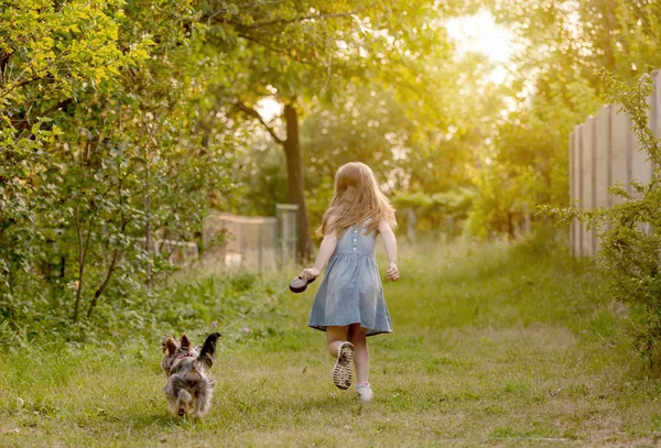 Malá holčička, běh se psem na venkově — Stock fotografie