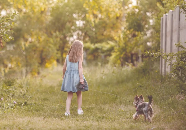 Liten flicka kör med hunden på landsbygden — Stockfoto