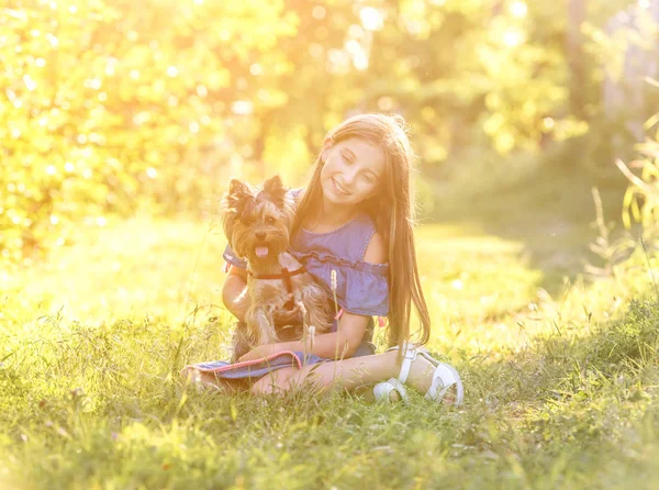 Meisje knuffelen Yorkshire terrier hond in het park — Stockfoto