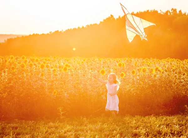 Piccola ragazza carina che vola un aquilone — Foto Stock