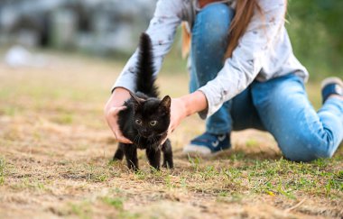 Siyah küçük kedi üzerinde yer tutan kız