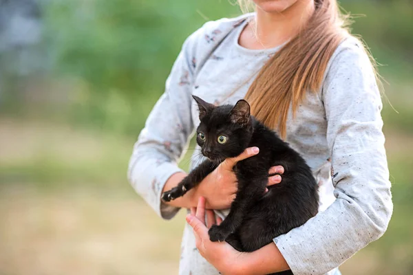 Rubia chica sosteniendo poco gatito —  Fotos de Stock