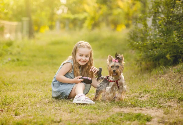 Enfant fille avec son petit chien Yorkshire terrier dans le parc — Photo