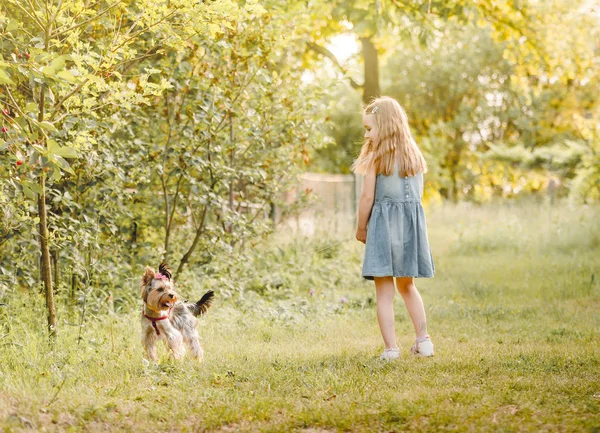 Little girl running with the dog in the countryside — Stock Photo, Image