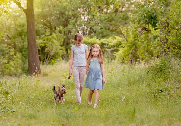 Due sorelle che giocano con il piccolo Yorkshire terier giornata di sole — Foto Stock