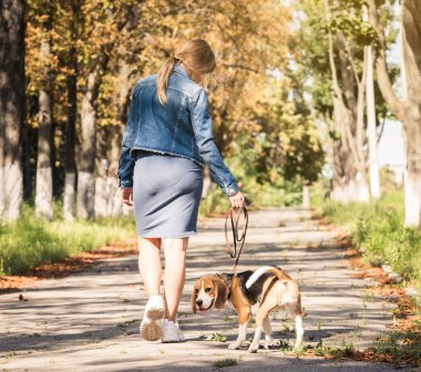 Sarışın kız ile sevimli köpek yürüyüş